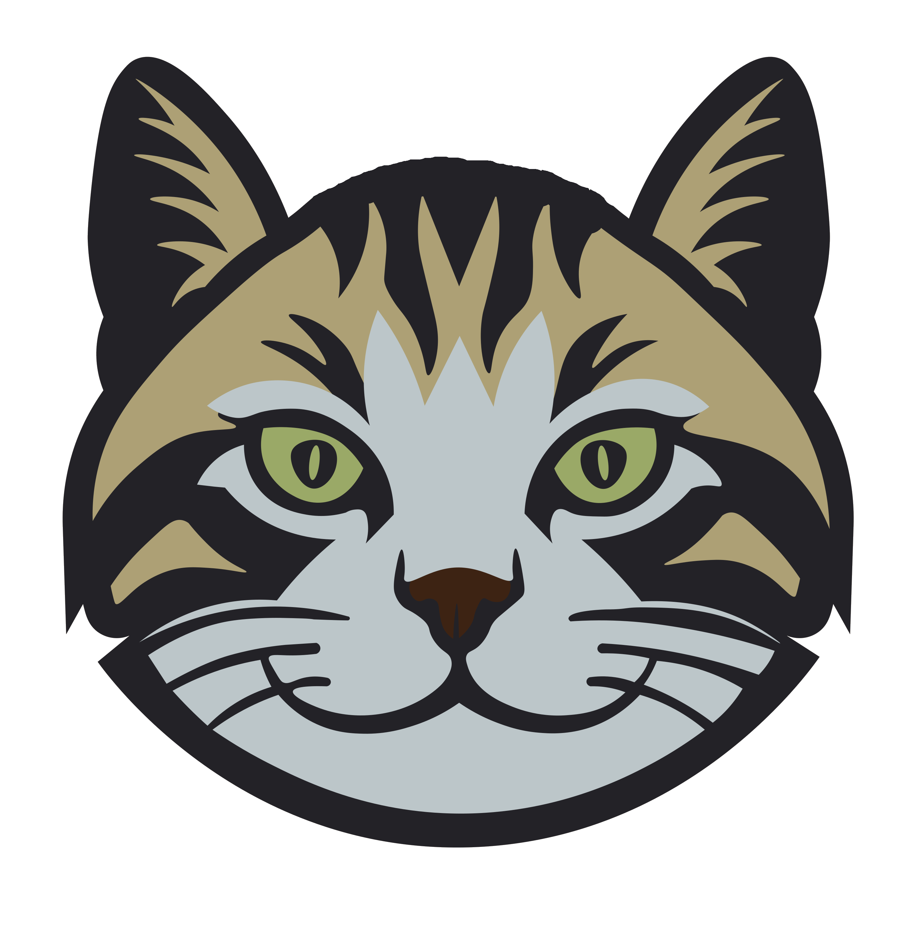CareerCat Logo